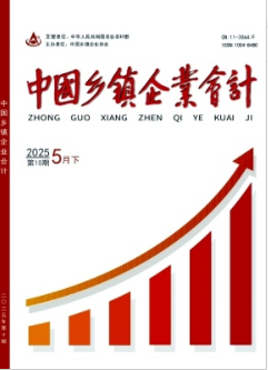 中国乡镇企业会计