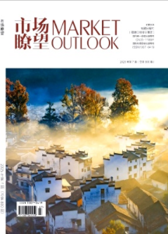 《市场瞭望》2025年07期目录