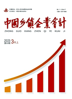 《中国乡镇企业会计》2025年05期目录