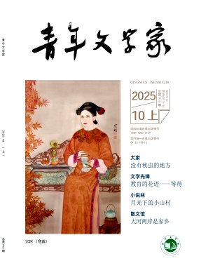 《青年文学家》2025年28期