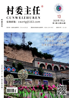 《村委主任》2025年14期