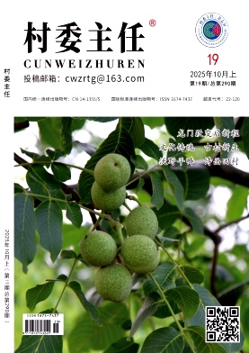 《村委主任》2025年19期