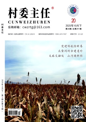 《村委主任》2025年20期