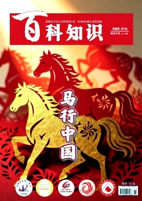 百科知识